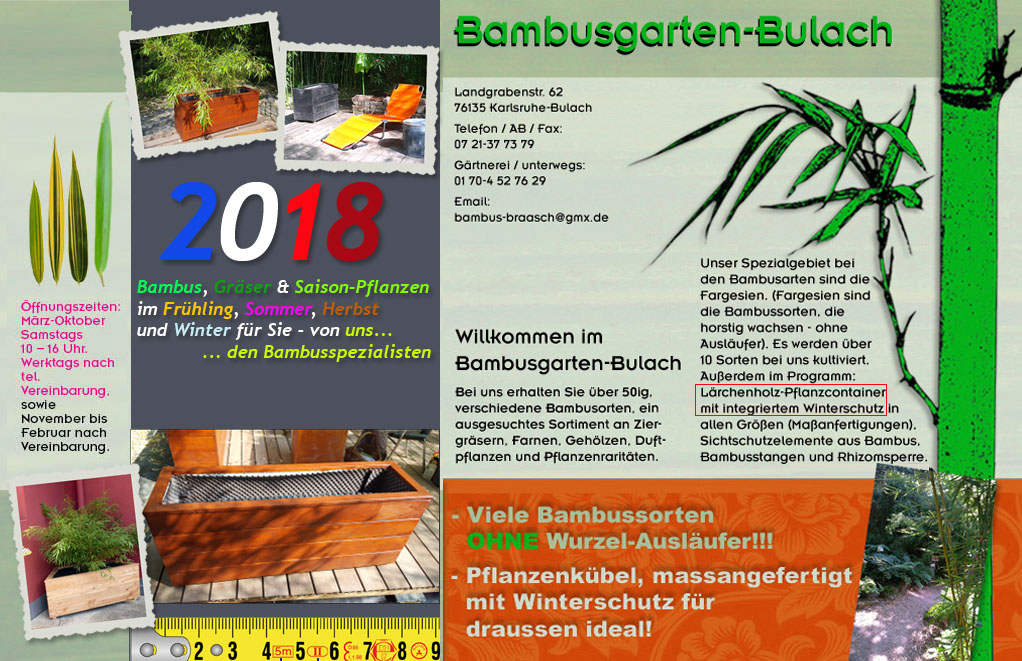 Startseite auf der Internetpr&auml;sentation von Bambusgarten-Bulach in Karlsruhe ::: Bambus ::: Stefan Braasch, Landgrabenstr. 62, 76135 Karlsruhe Stadteil Bulach ::: Tel. 0170-4527629 