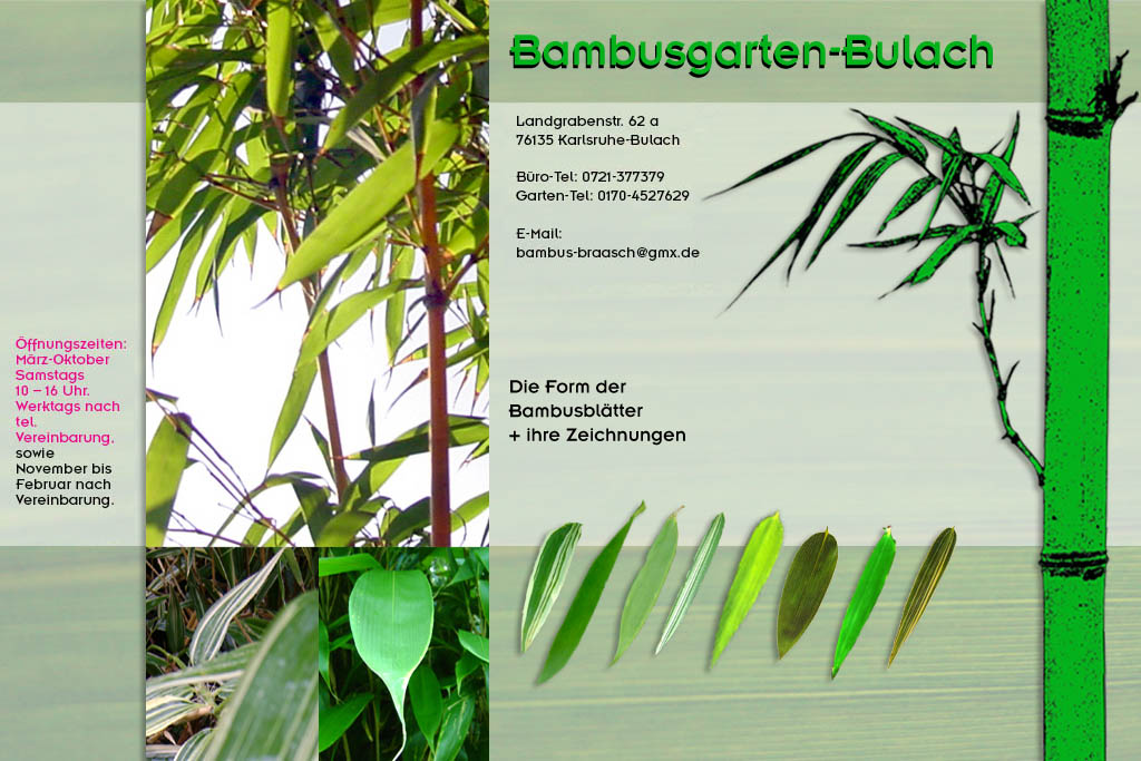 Verschiedene Blattmuster und -formen im Bambusgarten-Bulach in Karlsruhe ::: Stefan Braasch, Landgrabenstr. 62, 76135 Karlsruhe Stadteil Bulach ::: Tel. 0170-4527629