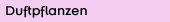 Duftpflanzen