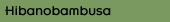 Hibanobambusa