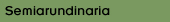 semiarundinaria