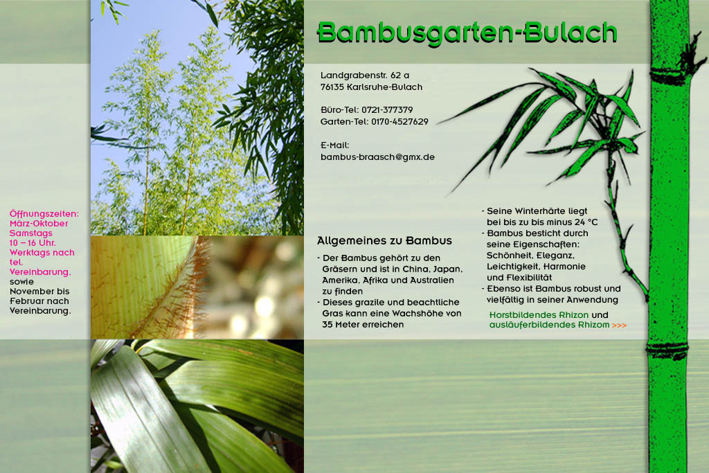 Was ist Bambus - kurze Anmerkungen und Abriß über das Gras im Bambusgarten-Bulach in Karlsruhe ::: Stefan Braasch, Landgrabenstr. 62, 76135 Karlsruhe Stadteil Bulach ::: Tel. 0170-4527629