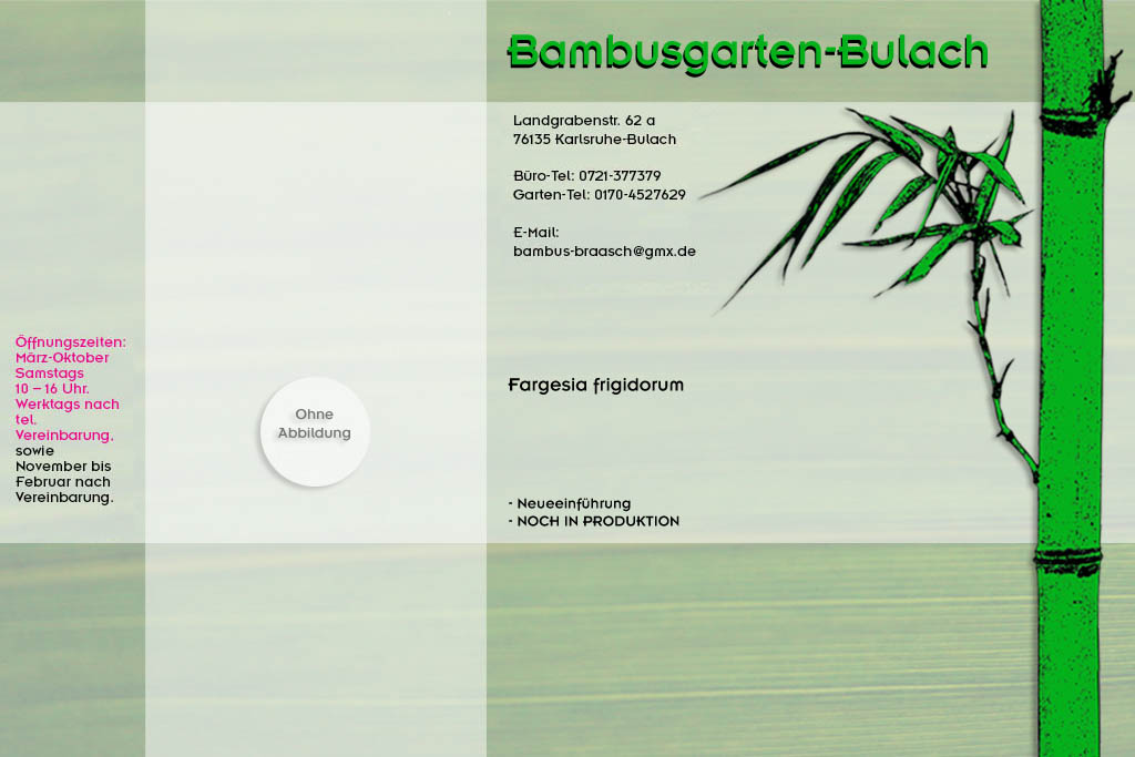 Fargesia frigidorum im Bambusgarten-Bulach in Karlsruhe ::: Stefan Braasch, Landgrabenstr. 62, 76135 Karlsruhe Stadteil Bulach ::: Tel. 0170-4527629