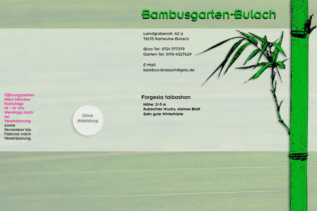 fargesia taibashan im Bambusgarten-Bulach in Karlsruhe ::: Stefan Braasch, Landgrabenstr. 62, 76135 Karlsruhe Stadteil Bulach ::: Tel. 0170-4527629