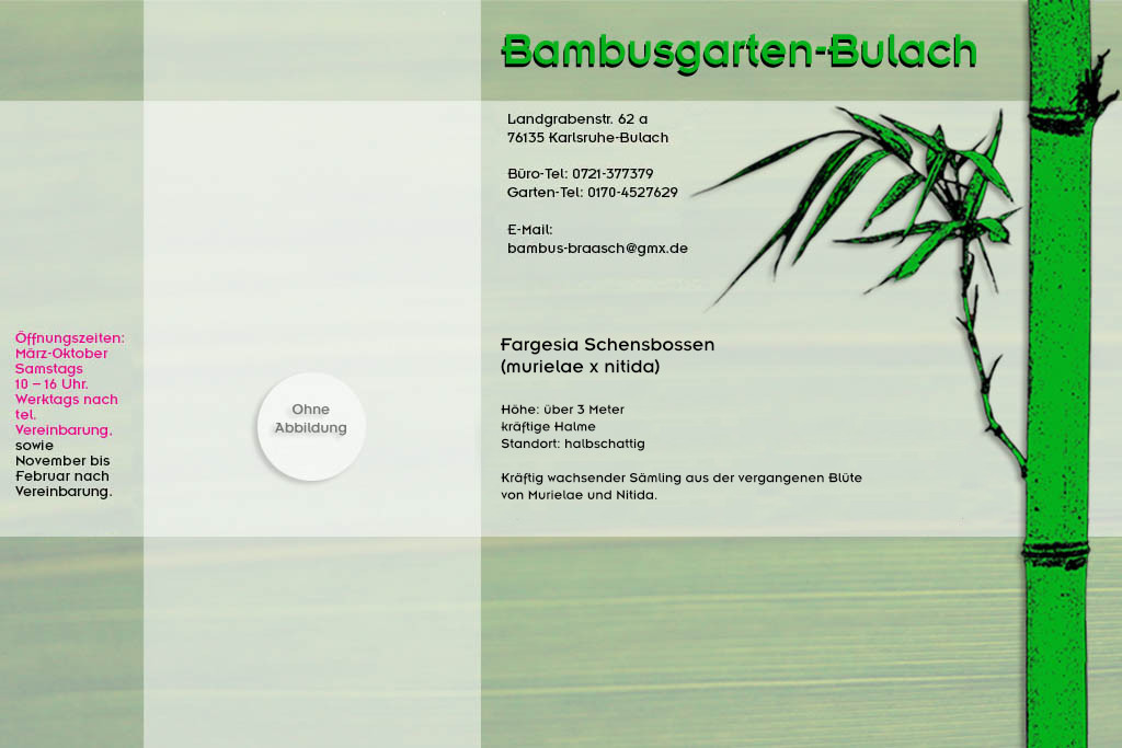 Fargesia utilies im Bambusgarten-Bulach in Karlsruhe ::: Stefan Braasch, Landgrabenstr. 62, 76135 Karlsruhe Stadteil Bulach ::: Tel. 0170-4527629