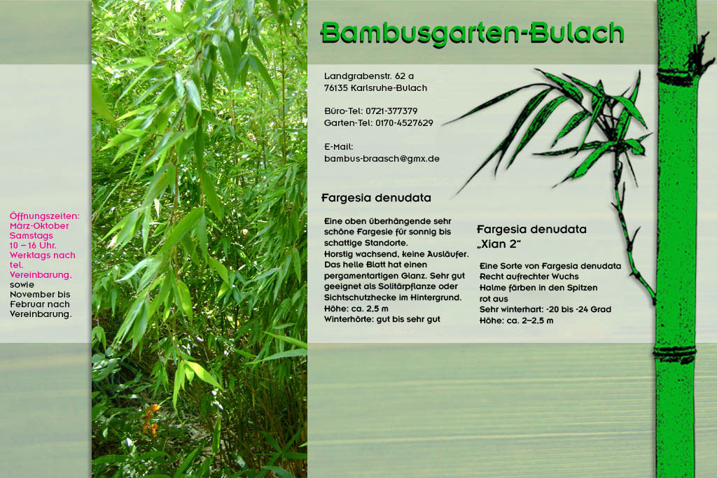 fargesia denudata im Bambusgarten-Bulach in Karlsruhe ::: Stefan Braasch, Landgrabenstr. 62, 76135 Karlsruhe Stadteil Bulach ::: Tel. 0170-4527629