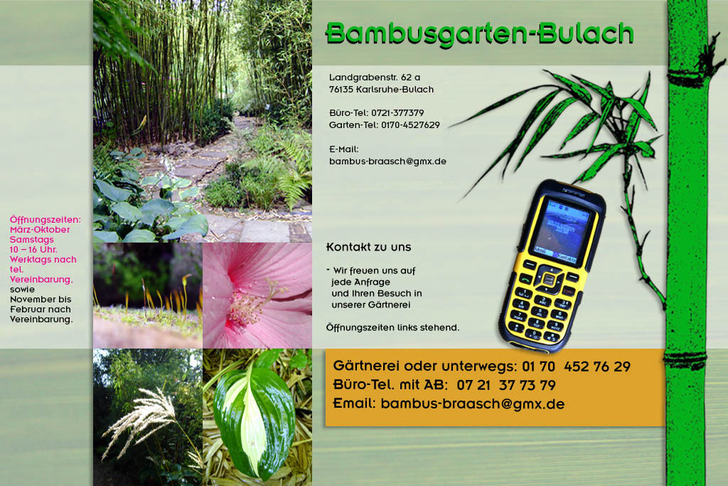 Kontaktangaben zu Bambusgarten-Bulach in Karlsruhe ::: Stefan Braasch, Landgrabenstr. 62, 76135 Karlsruhe Stadteil Bulach ::: Tel. 0170-4527629