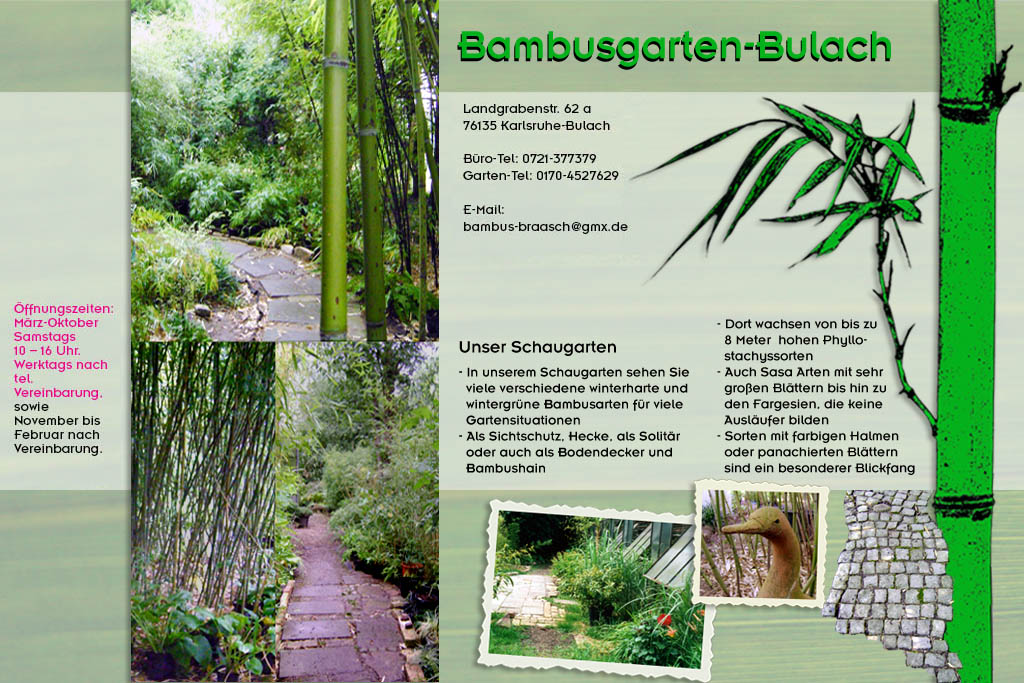 Schaugarten im Bambusgarten-Bulach in Karlsruhe ::: Bambus ::: Stefan Braasch, Landgrabenstr. 62, 76135 Karlsruhe Stadteil Bulach ::: Tel. 0170-4527629